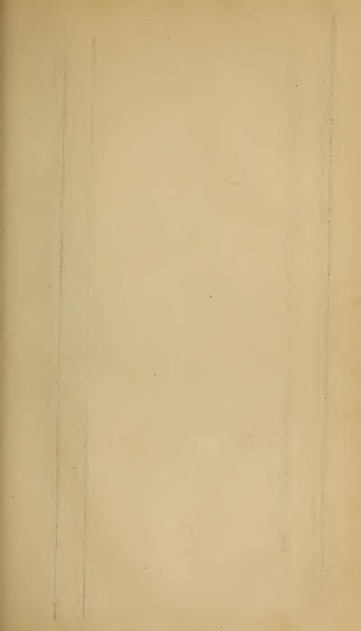 Image of page 397